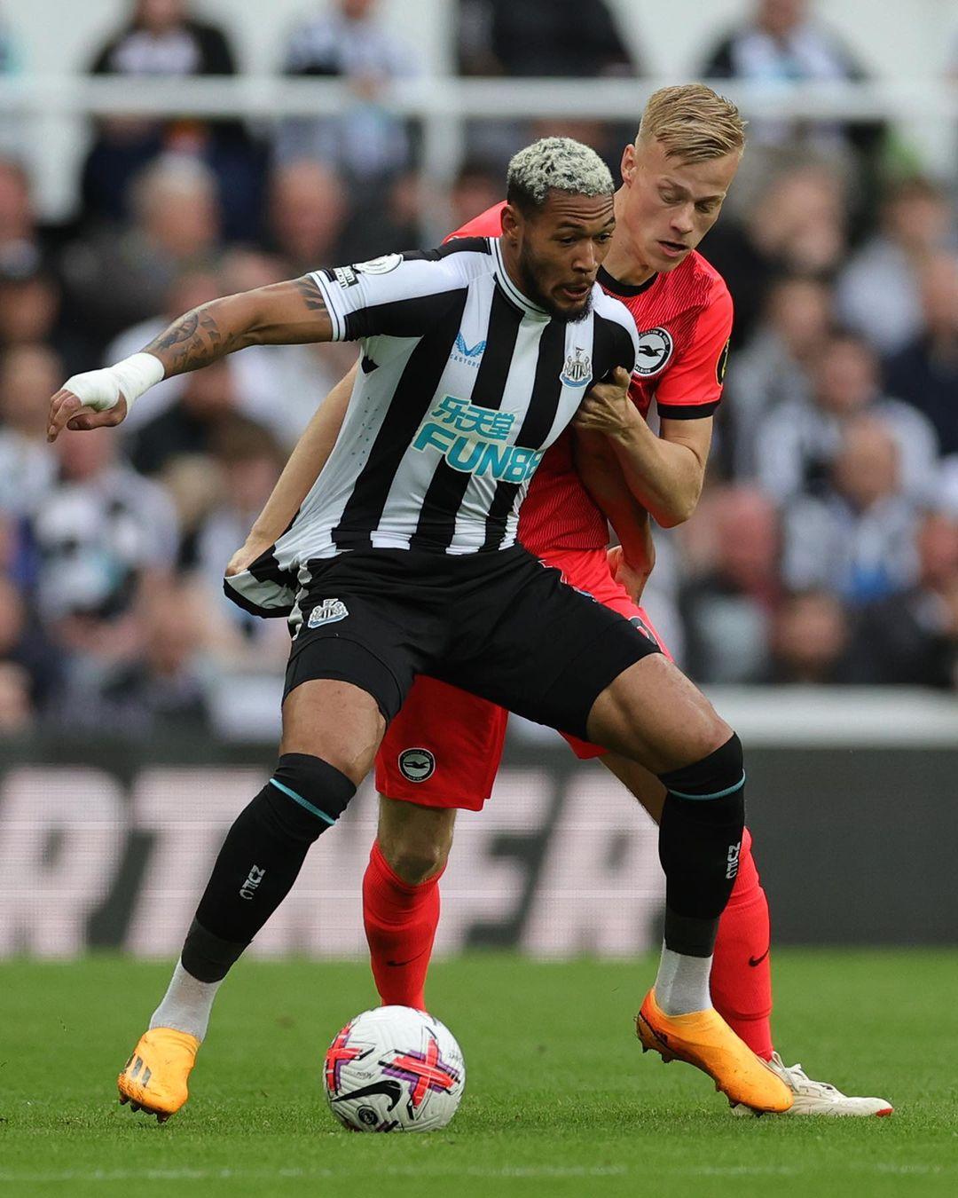 教育研究所会徽设计欣赏