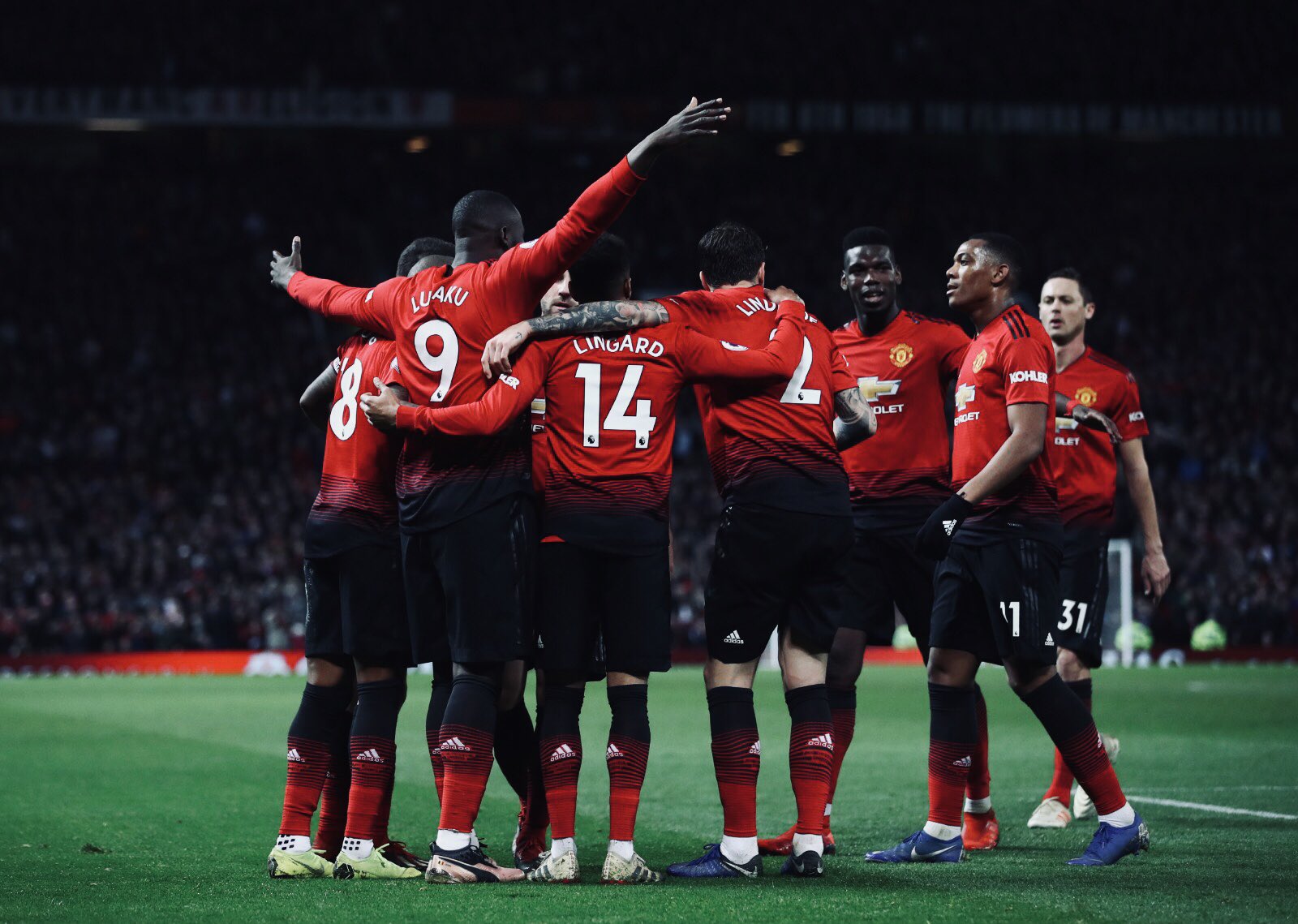 东莞佳迪新材料画册设计案例欣赏